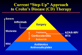Crohns Disease Treatment starts with understanding the causes, symptoms and treatment options for this inflammatory bowel disease.  Discover your options for Crohns, from medications to alternatives.